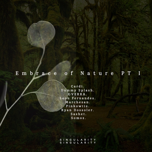 VA - Embrace of Nature PT I [SING01]